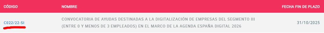 Cómo solicitar la ampliación de 1000 € del Kit Digital - AMDSEO