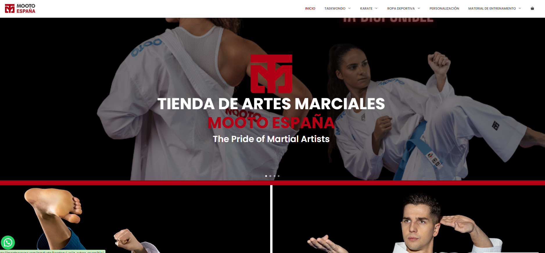 Mooto España caso de exito SEO